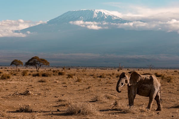 The Cultural and Economic Significance of Mount Kilimanjaro in Tanzania