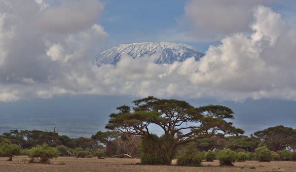 Is Kilimanjaro Evil : Exploring the Mystique of Kilimanjaro