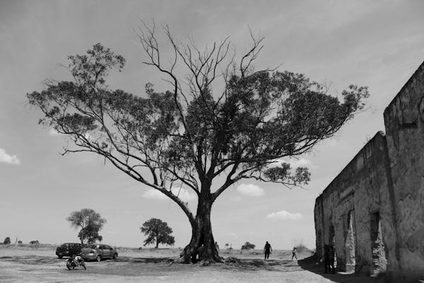 Discovering the Secrets of the Great Zimbabwe Ruins